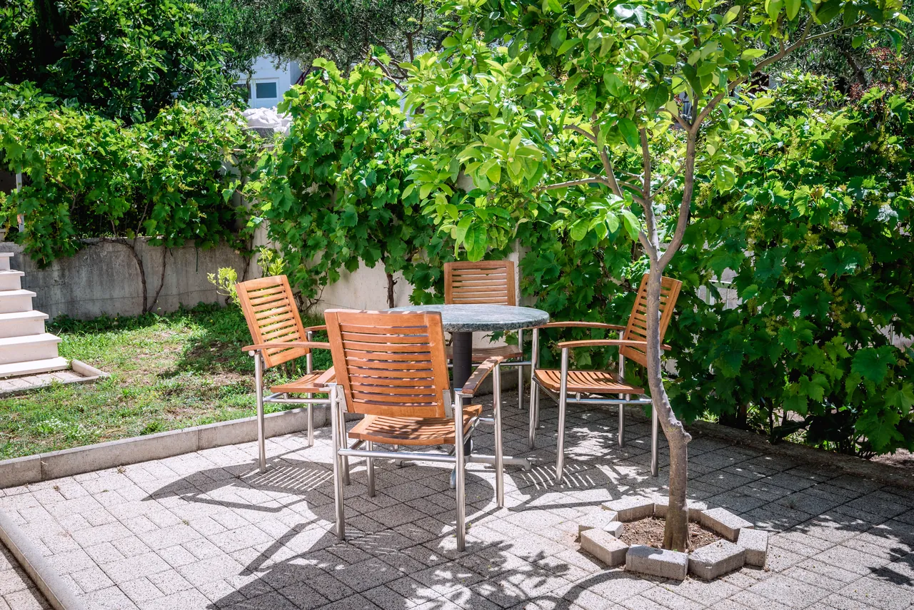 Gartenterrasse im Schatten einer Weinrebe und eines Baumes